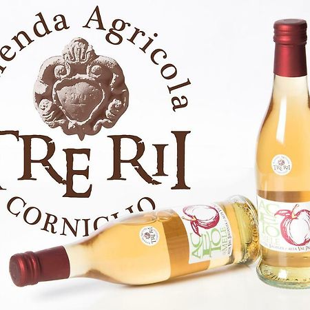 Agricola Tre Rii Sidreria Bed & Breakfast Corniglio Eksteriør bilde